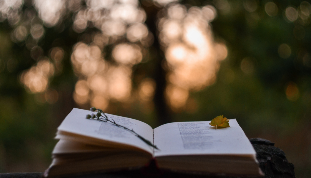 Intramural Journals